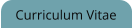 Curriculum Vitae